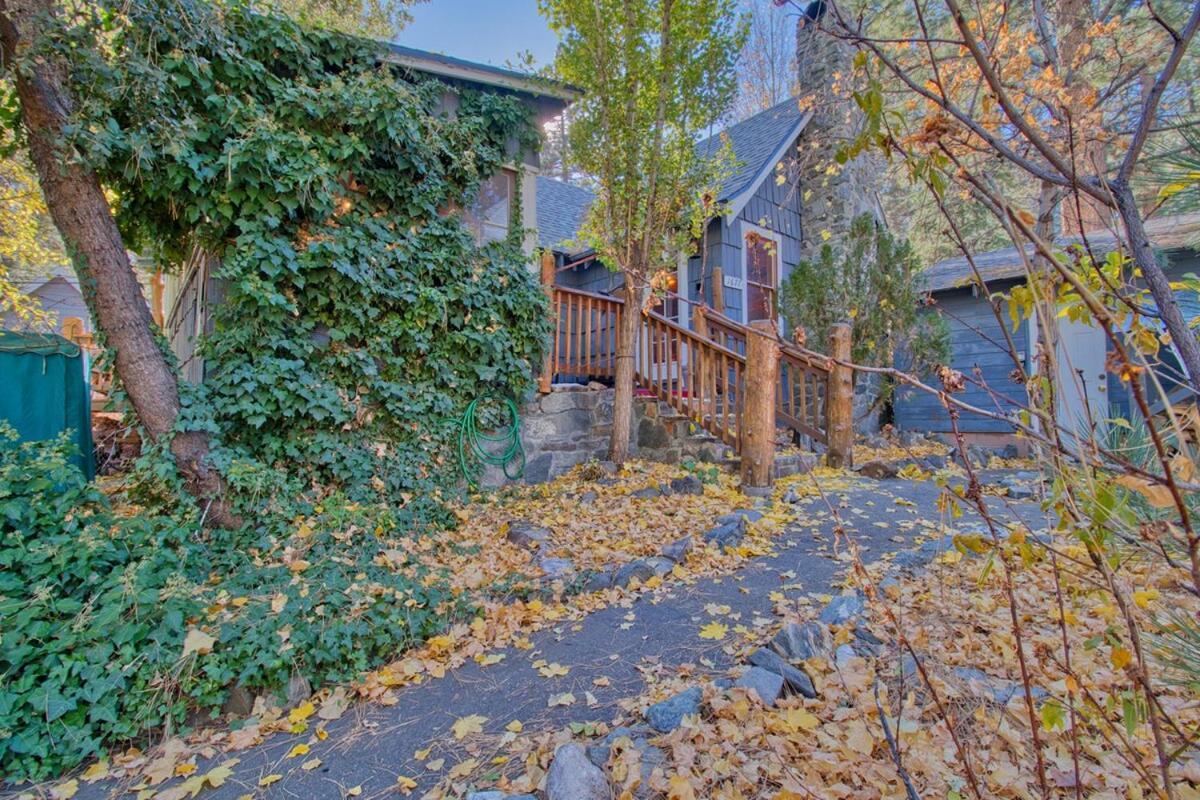 Ray'S Dear Cottage Wrightwood Ngoại thất bức ảnh