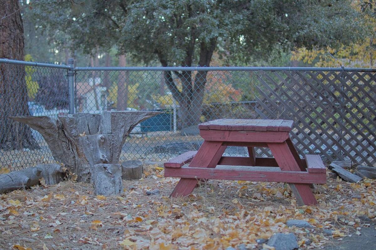 Ray'S Dear Cottage Wrightwood Ngoại thất bức ảnh